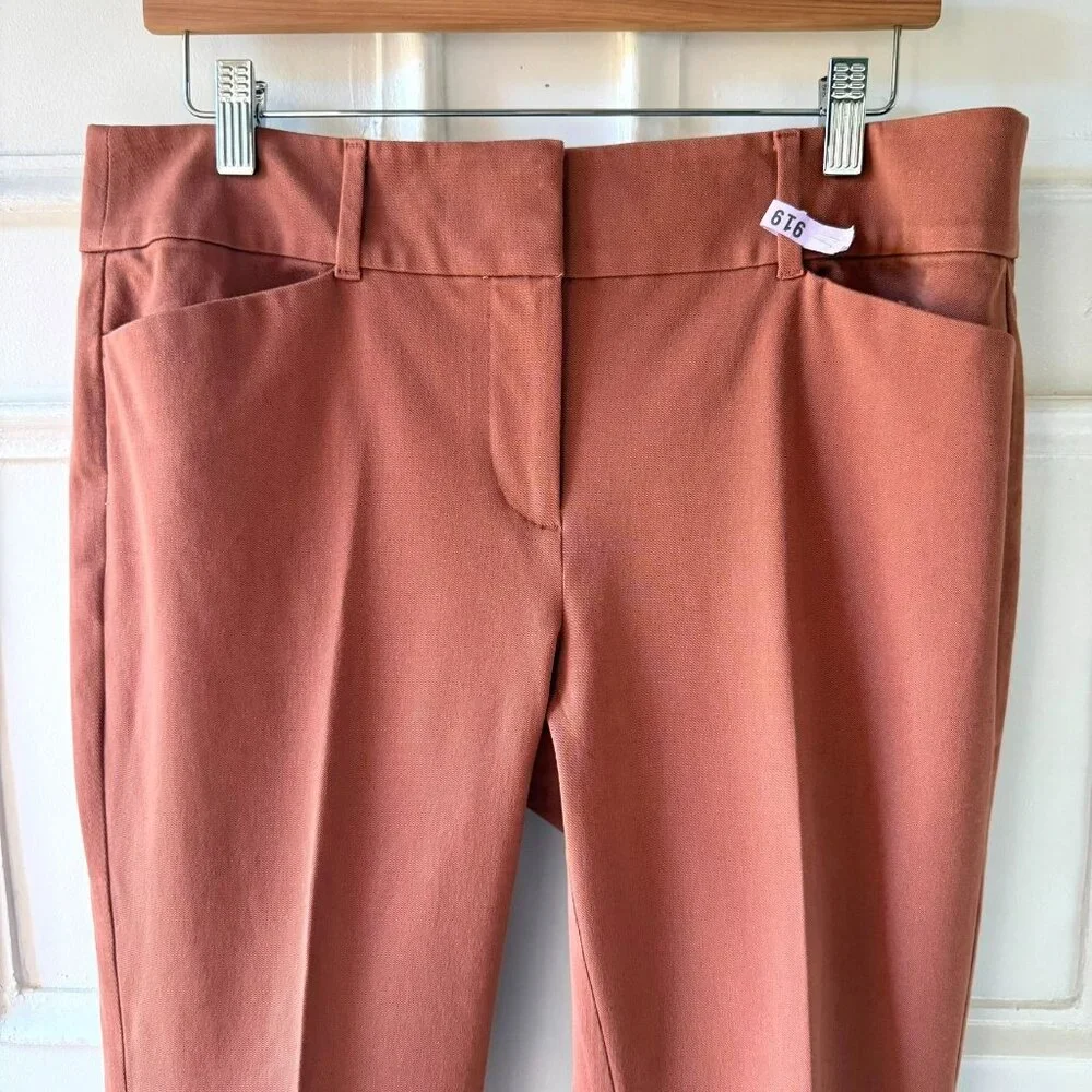 Loft Outlet Pants Size 10 Brick Red Skinny Ankle Stretch Cotton Blend Neutral - Picture 2 of 9